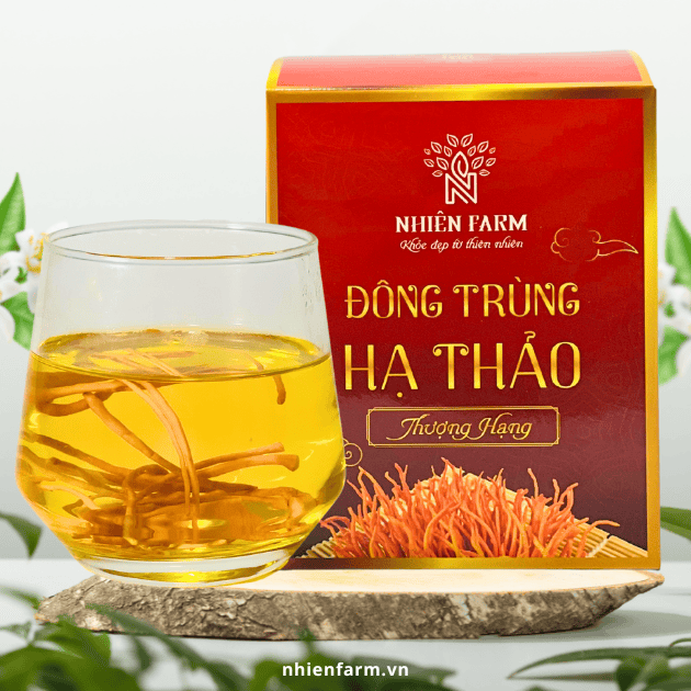 Đông trùng hạ thảo sấy thăng hoa (10g)